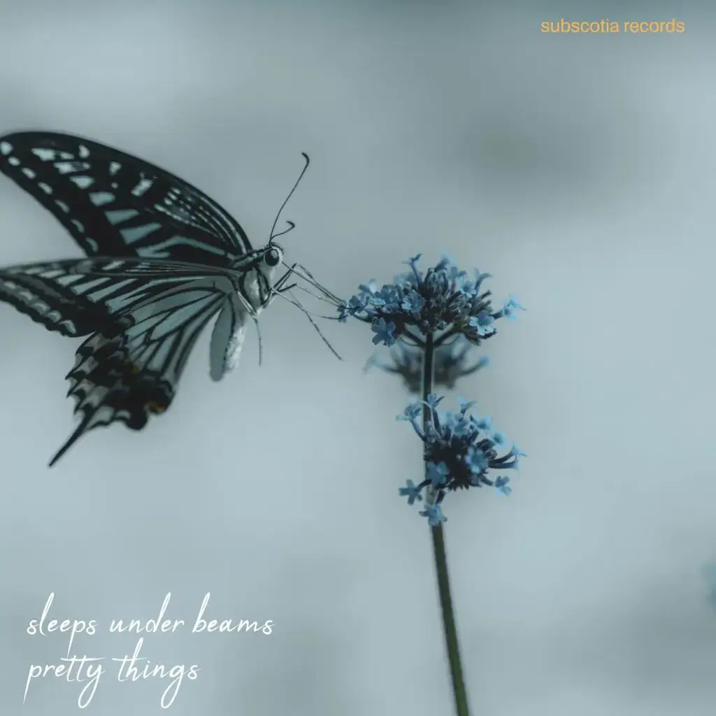 Pretty Things