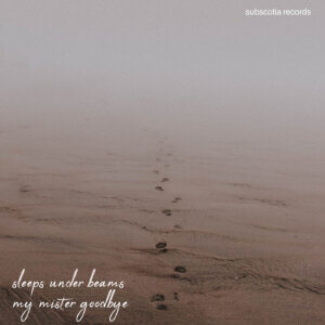 My Mister Goodbye